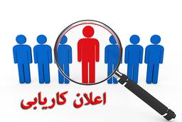 Vacancy Announcement - 11 professional and services posts