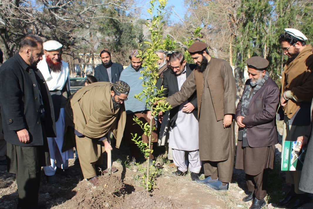 د لوړو زده کړو وزارت علمي معین دوکتور لطف الله خیرخواه، د ننګرهار پوهنتون د نیالګیو کېنولو په کمپاین کې ګډون وکړ.